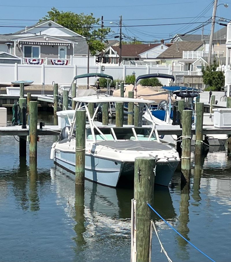 2025 World Cat 230 SD